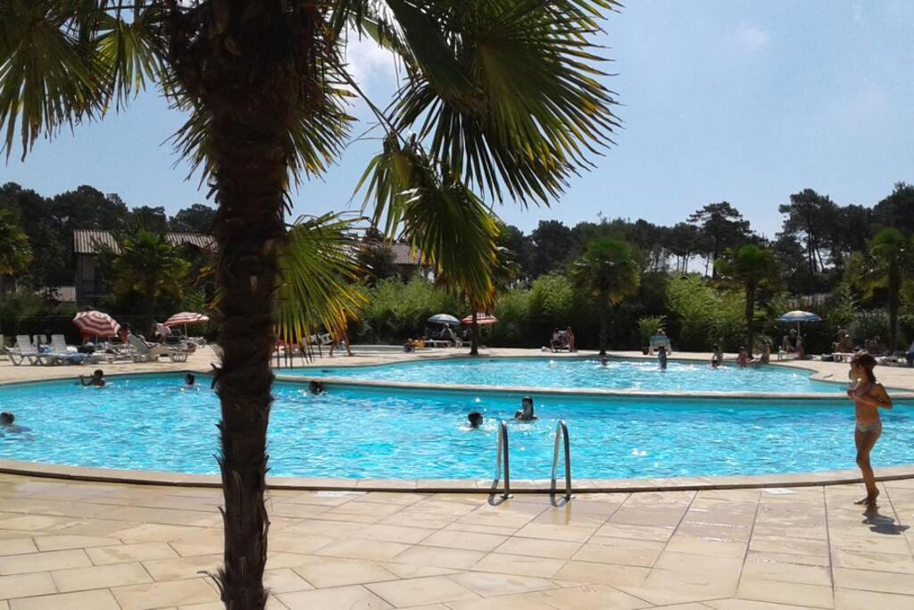 T2 Antigua Avec Piscine Et Tennis Apartment *