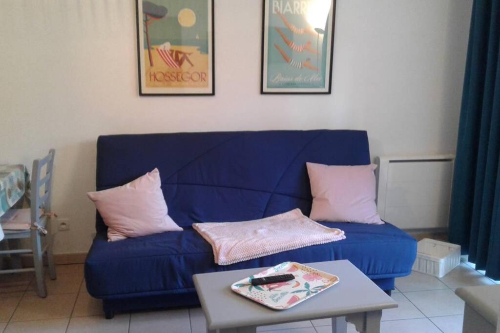 T2 Antigua Avec Piscine Et Tennis * Ondres